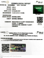 6.69/CT Natural Panna Stone with Govt. Lab Certificate-12313D49945
